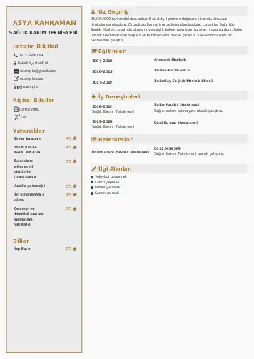 cv indir